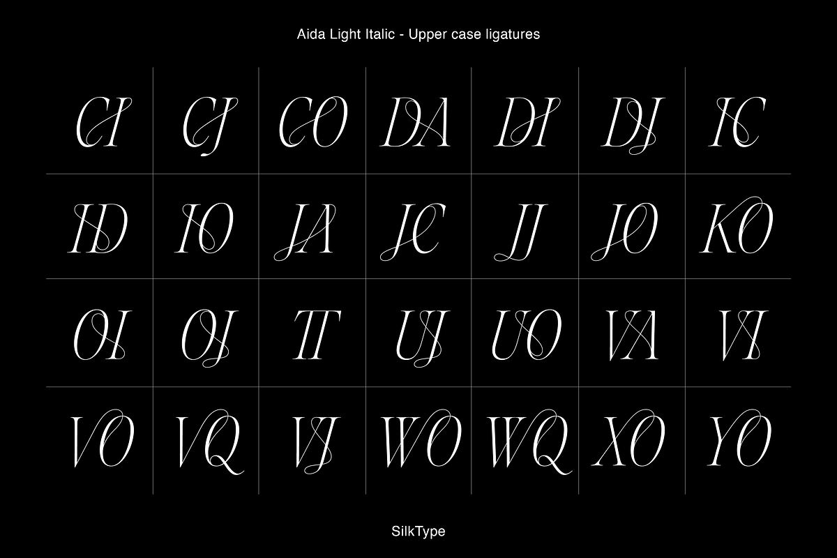 Aida | 10 Font Ligature Serif, a Font by Silktype (Photo 20 of 20)