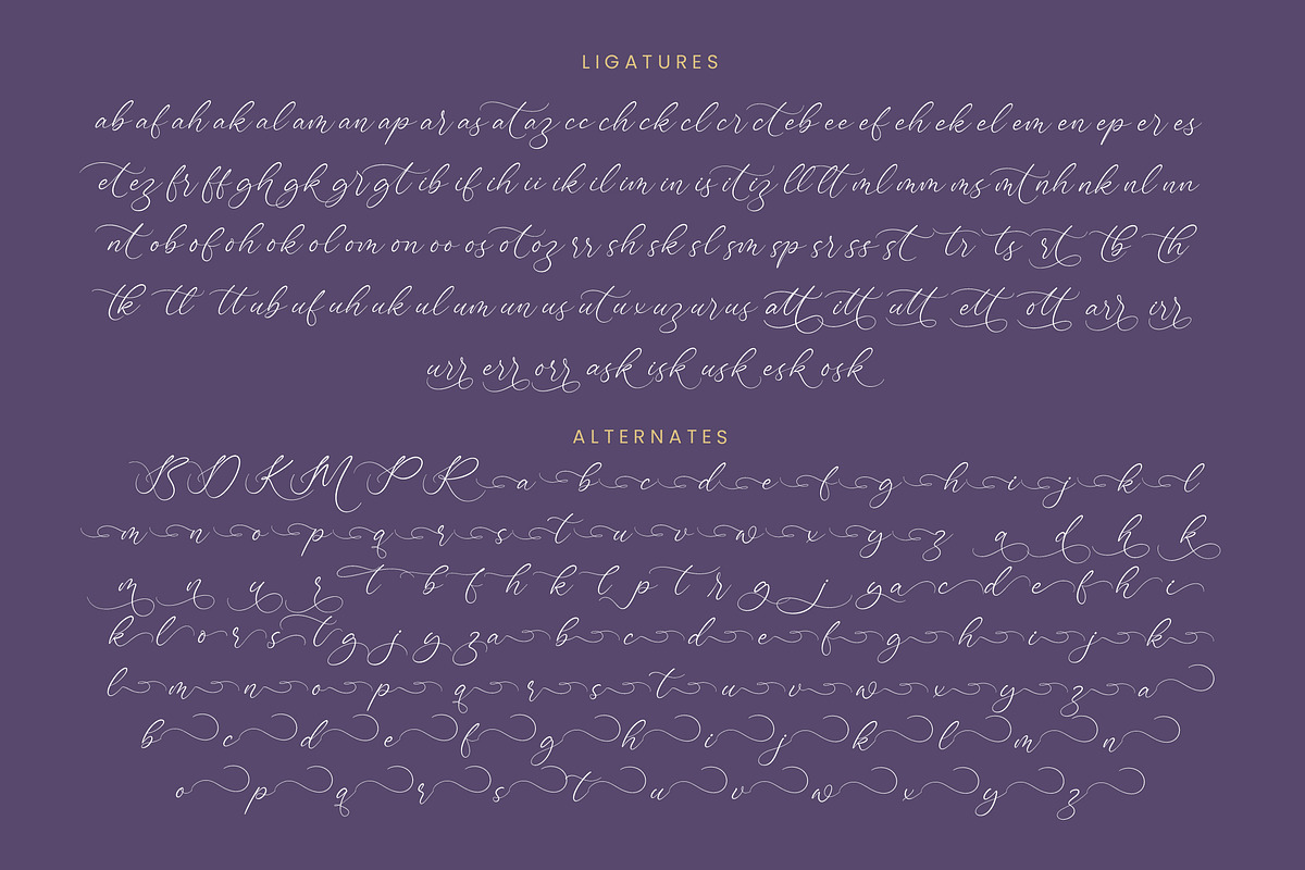 Bottonia Scottella Calligraphy Font, a Script Font by stylishtype.co (Photo 19 of 20)