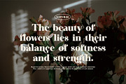 Milgan Elegant Luxury Serif Font, a Serif Font by Perfectype (Thumbnail 4 of 8)
