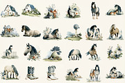 Horse Clipart, Horse Illustration Se, an Illustration by DreamCafeArt (Thumbnail 2 of 6)