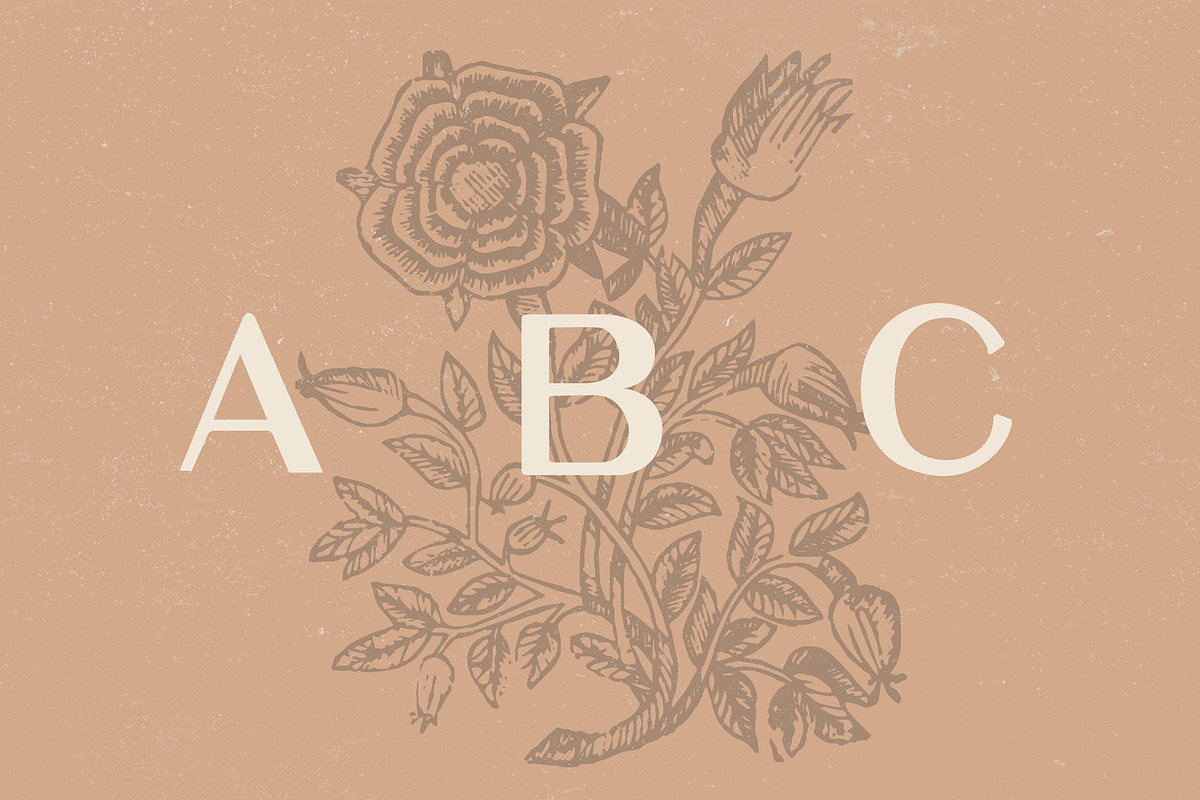 Elijah - Sans Serif Display Font preview 2