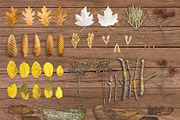Autumn Floral Mockup, an Object Graphic by uncle-rico (Thumbnail 2 of 12)