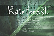 Archi Light Font, a Script Font by skyclick (Thumbnail 2 of 4)