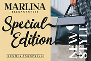 Flourissha Script LS, a Script Font by GranzCreative (Thumbnail 7 of 20)
