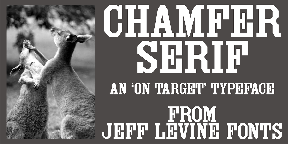 Chamfer Serif JNL, a Serif Font by Jeff Levine Fonts