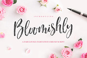 Bloomishly Brush Font, a Script Font by Nicky Laatz (Thumbnail 1 of 11)