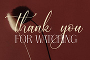 Serandipity Boutique Font Duo, a Serif Font by Storytype Studio (Thumbnail 15 of 15)
