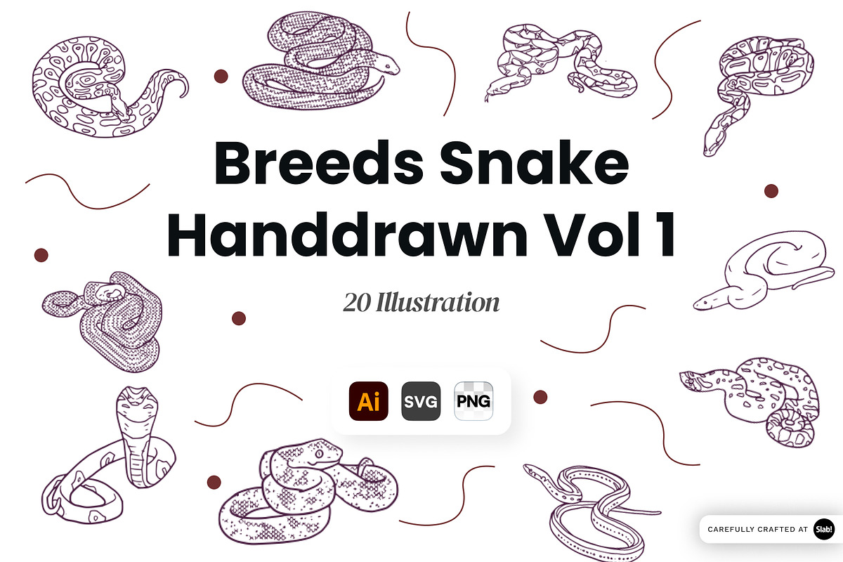 Snake Breeds Hand Drawn Illustration, an Animal Illustration by SLAB! Design (Photo 1 of 3)