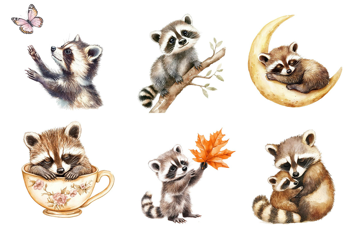Watercolor Raccoon & Kit Clipart, an Illustration by CreationArt (Photo 4 of 5)