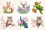 Vibrant Flowers Animals Clipart, an Illustration by Dream Creation (Thumbnail 4 of 6)
