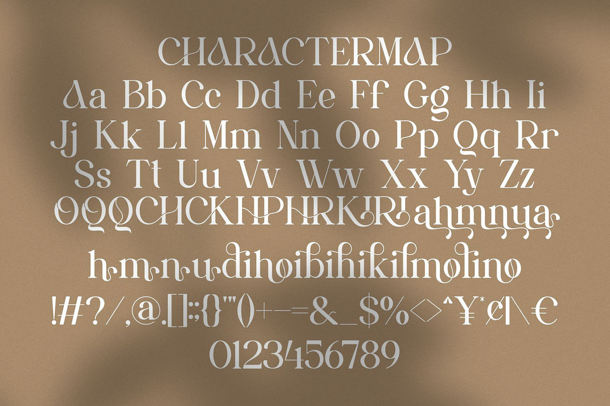 Qanlice || Modern Minimalist Serif F, a Serif Font by Ermedia Studio (Photo 10 of 10)