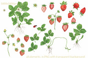 Strawberry-watercolor collection, a Pattern Graphic by ramika (Thumbnail 3 of 4)