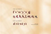 Cringe Elegant Serif Font, a Serif Font by Perfectype (Thumbnail 8 of 8)