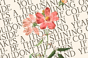 Oonelle - Elegant Serif Display, a Font by Indotype Foundry (Thumbnail 5 of 10)