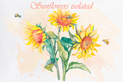 Watercolor sunflower patterns, an Illustration by Elizaveta (Thumbnail 5 of 5)