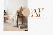 More Aloof Typeface Font, a Serif Font by Creativeqube Design (Thumbnail 11 of 14)