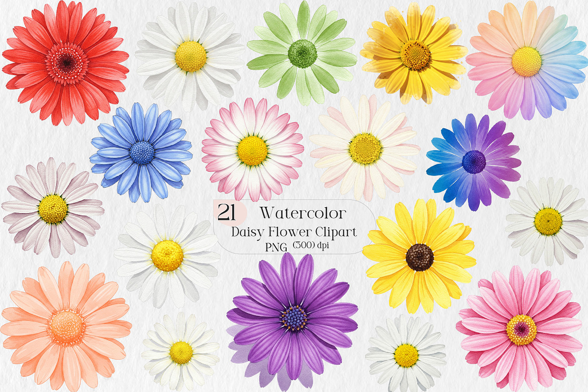 Daisy Flower Watercolor Clipart, an Illustration by Creative Art (Photo 1 of 7)