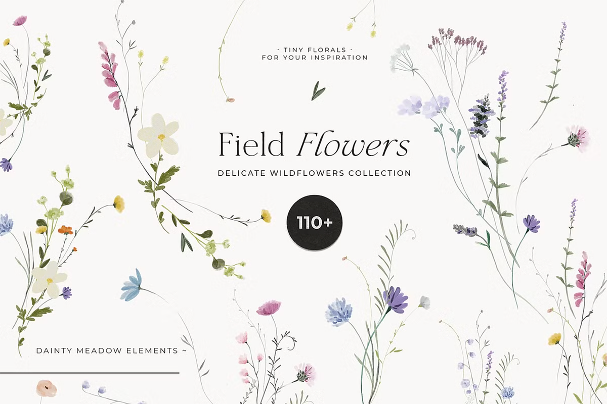 Watercolor Wildflowers Bundle, a Decorative Illustration by Lana Elanor (Photo 3 of 9)