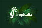 Letter A-Z With palm Logo Kit, a Branding & Logo Template by Luxury Logos (Thumbnail 10 of 11)