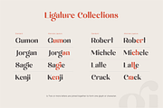 michael - beauty ligature font, a Sans Serif Font by Sensatype (Thumbnail 6 of 17)