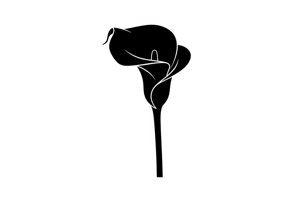 Black Lily Flower Vector Bundle, an Illustration by Designs_River (Photo 6 of 51)