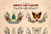 Insects and Flowers, an Animal Illustration by Ink Stories (Thumbnail 12 of 15)