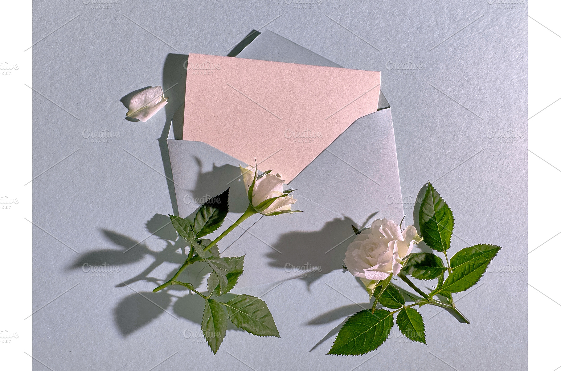 Open envelope with blank card and, a Photo by tilialucida