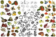 Vector illustration of fruits, an Illustration by risovanya (Thumbnail 4 of 5)