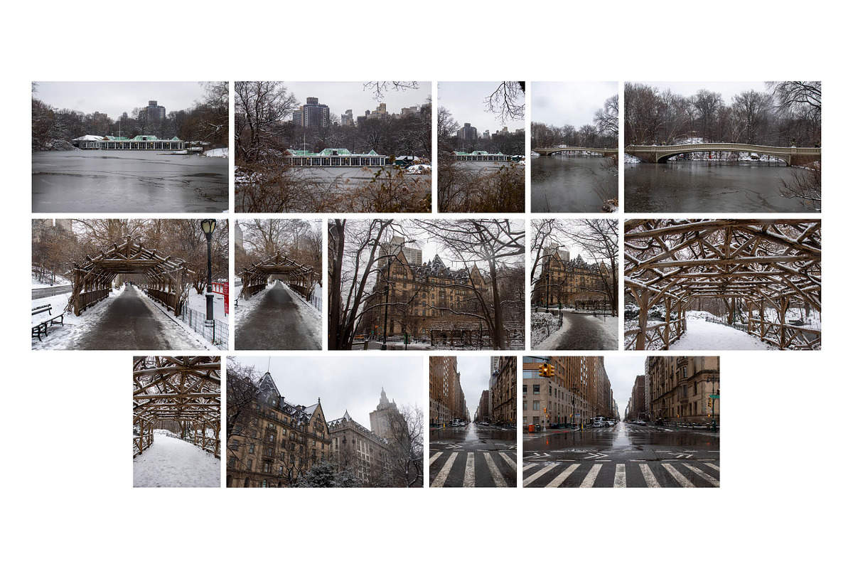 Winter In Central Park NYC Photos, an Arts & Entertainment Photo by Full Circle Design Studio (Photo 3 of 5)