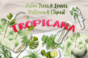 Tropicana - Palm Trees & Leaves Set