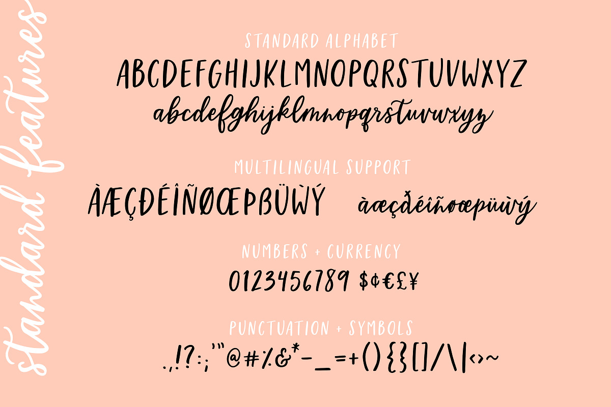 Homebody | Calligraphy Script Font preview 2