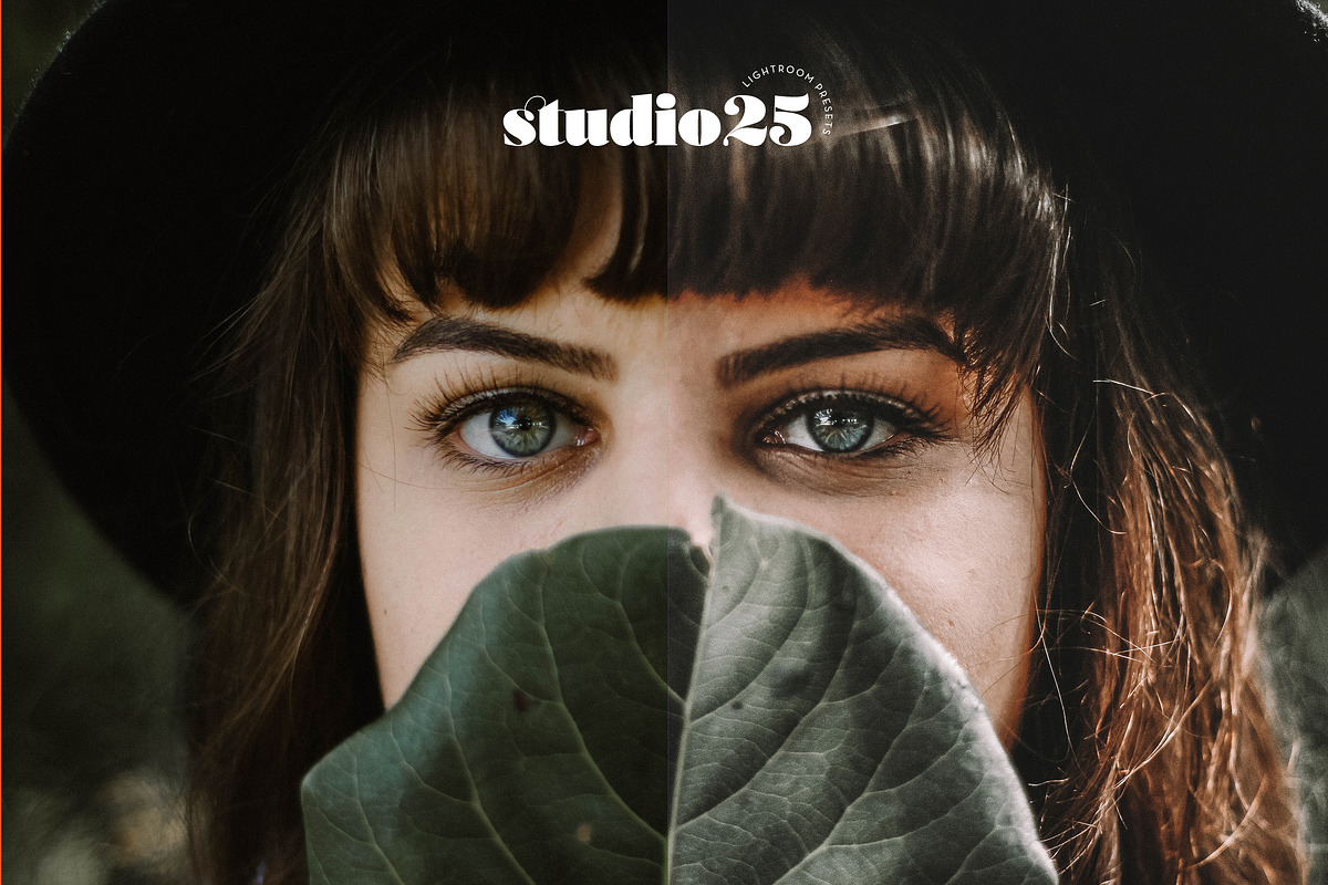 3 Tropical-Botanical Presets, a Plug-in Add-On by studio25 (Photo 5 of 6)