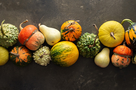 Pumpkins on a green background, a Food & Drink Photo by Pandateam