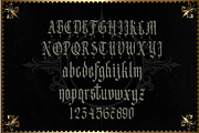 Gematype Blackletter + Ornament font, a Blackletter Font by dansdesign (Thumbnail 4 of 7)