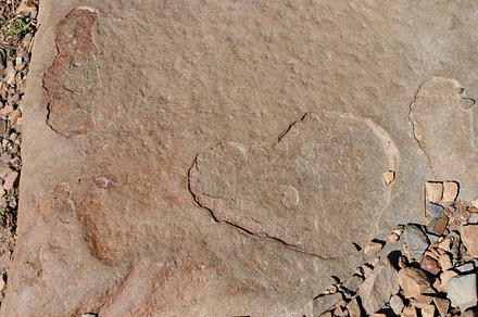 Trail Heart