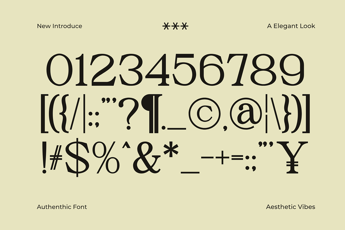 Secth Vought–Luxury Editorial Serif, a Serif Font by MaikoHatta (Photo 10 of 10)