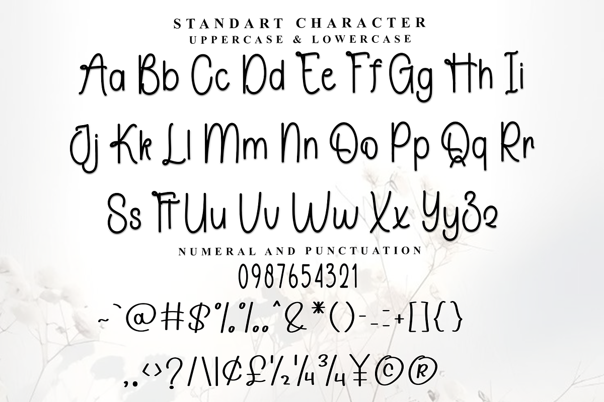 Elegant Autography, a Sans Serif Font by FreshTypeINK (Photo 4 of 7)