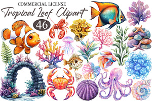 Hand Drawn Tropical Leef Clipart PNG, an Illustration by designcity5