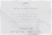Althea Script, a Script Font by Chocotype Std (Thumbnail 10 of 11)
