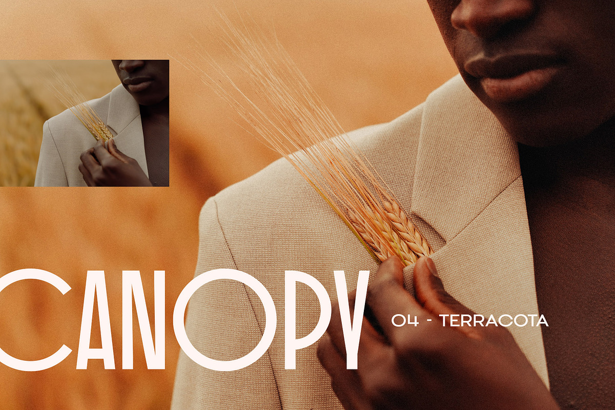 Canopy - Earthy Lightroom Presets, an Action Add-On by Presetrain Co. (Photo 8 of 8)