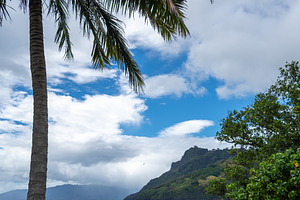 Tahuata Island beach with boats, Marquesas Islands, French Polyn, a Nature Photo by GoodGoods