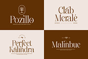 Emofera | Modern Serif Font, a Serif Font by The_Type (Thumbnail 3 of 12)