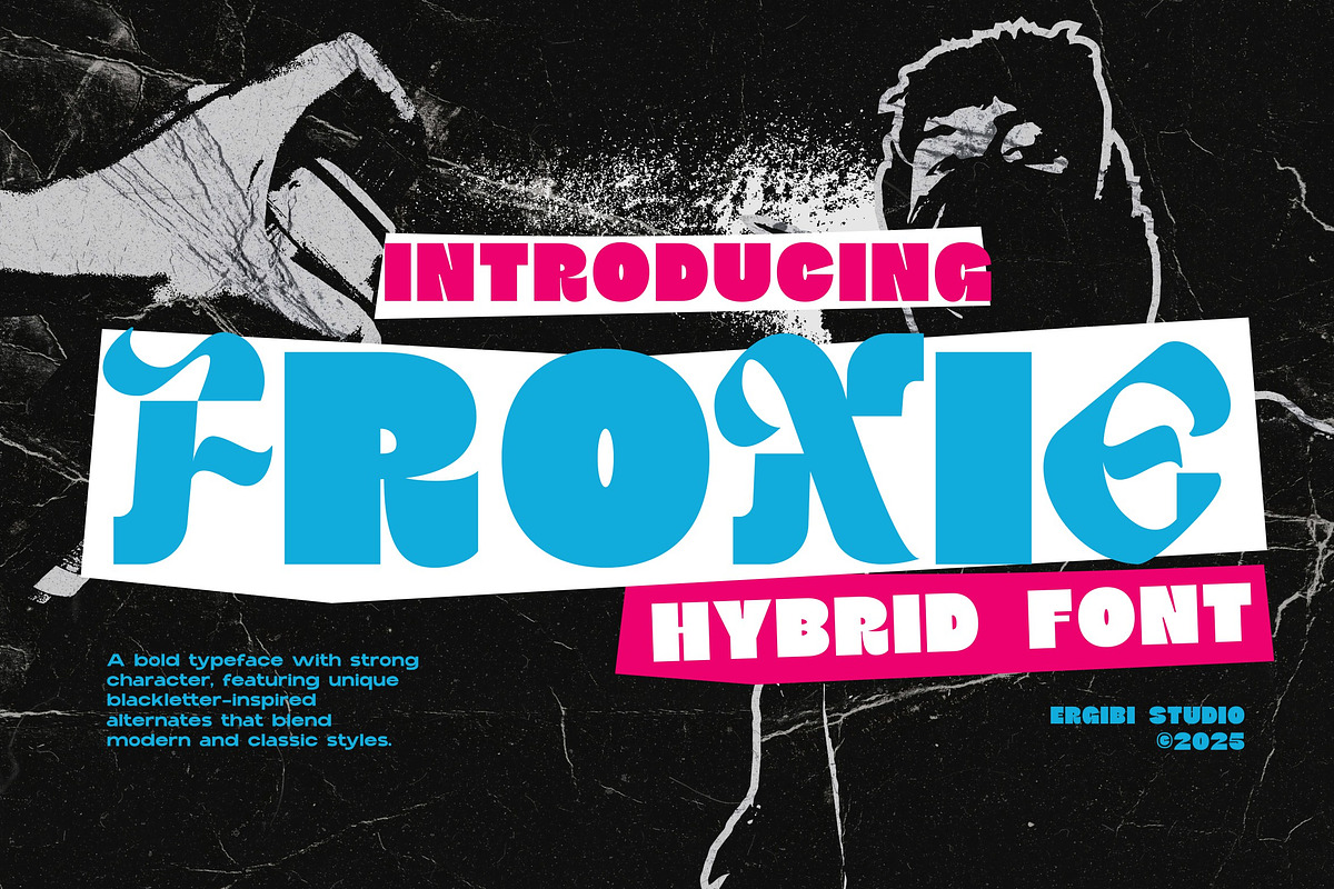 Froxie - Hybrid Font, a Sans Serif Font by ErgibiStudio (Photo 1 of 10)