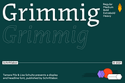 Grimmig, a Serif Font by Schriftlabor (Thumbnail 1 of 8)