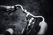 50 Monochromatic Presets for Ps - Lr, a Preset Add-On by ShinyPixel (Thumbnail 4 of 17)