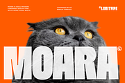 Moara - Bold Condensed Font, a Sans Serif Font by limitype (Thumbnail 1 of 13)