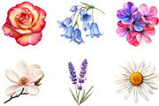 Watercolor Spring Flowers Clipart, an Illustration by Designking (Thumbnail 3 of 5)