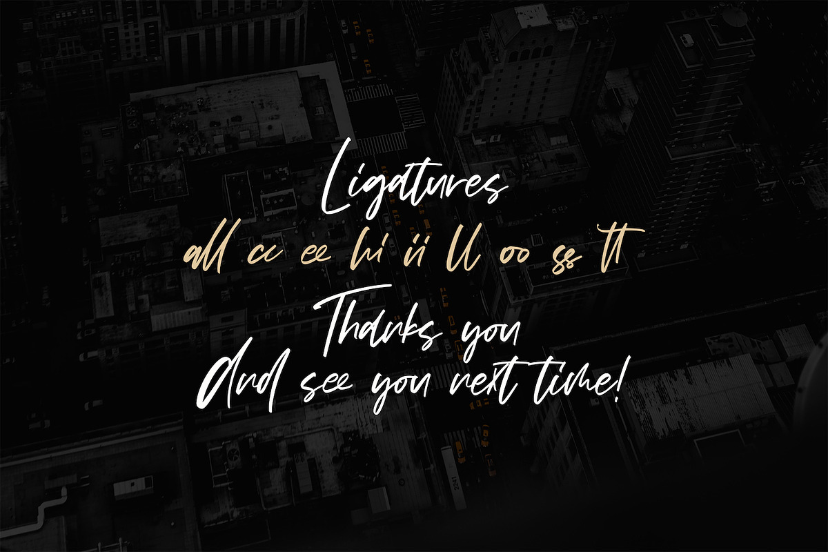 Vezthisory - Handwritten Font, a Script Font by StringLabs (Photo 9 of 9)
