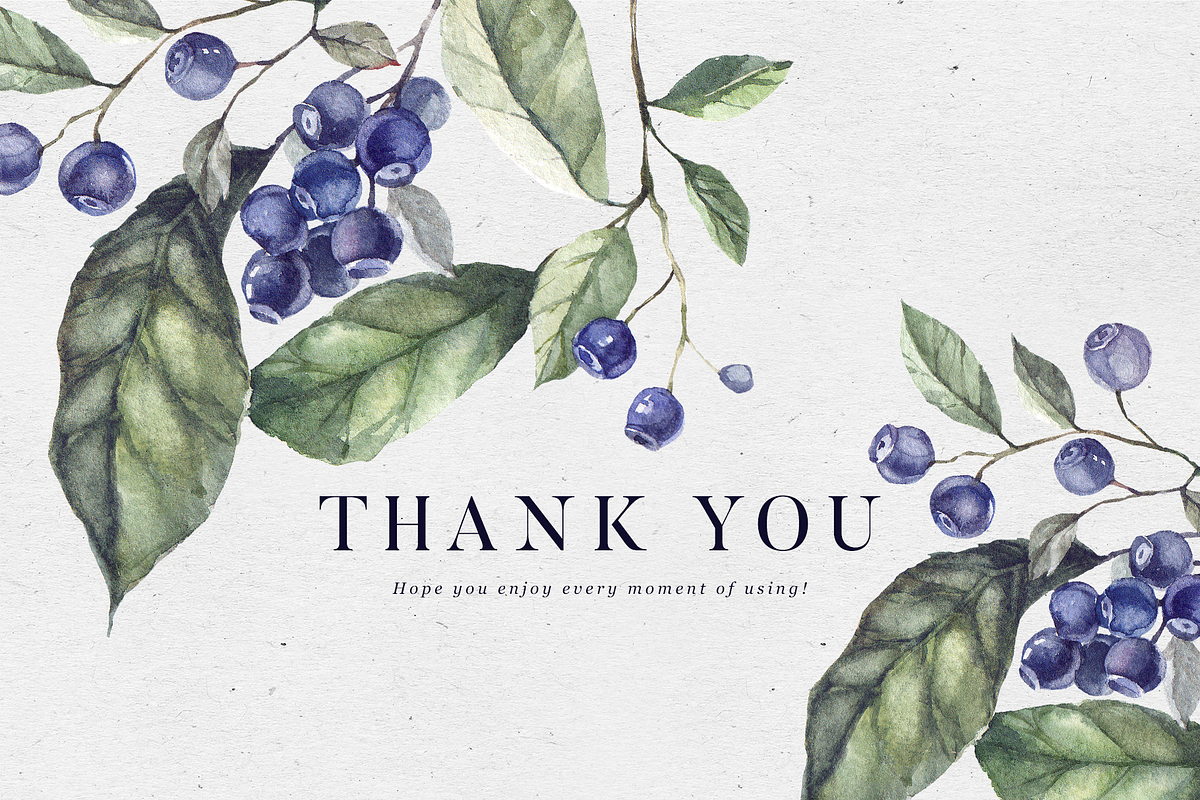 Blueberry watercolor collection, a Decorative Illustration by Tilling (Photo 7 of 7)