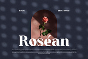 Karina Elegant Serif Font, a Serif Font by Graphicxell (Thumbnail 8 of 10)